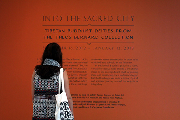 A visitor is reading the introduction about the exhibition.